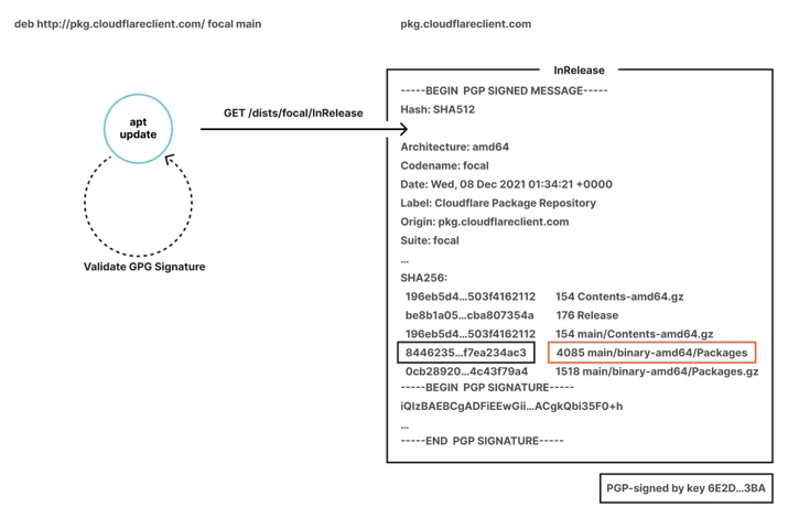 Graphical diagram of Cloudflare Client repository update. Alt text description: "apt update" gets /dists/focal/InRelease. The contents of InRelease are shown: a list of SHA256 sums for files such as Contents-amd64.gz and Packages.gz, followed by a GPG signature.