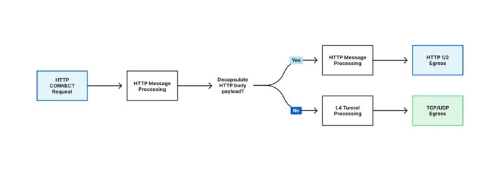 Recursive processing of HTTP CONNECT body payload in HTTP pipeline